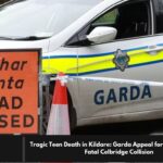 Tragic Teen Death in Kildare: Garda Appeal for Witnesses After Fatal Celbridge Collision