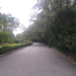 renovated pathway in city park