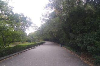 renovated pathway in city park