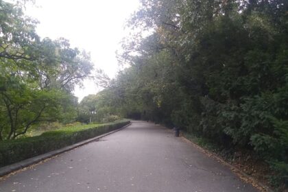renovated pathway in city park