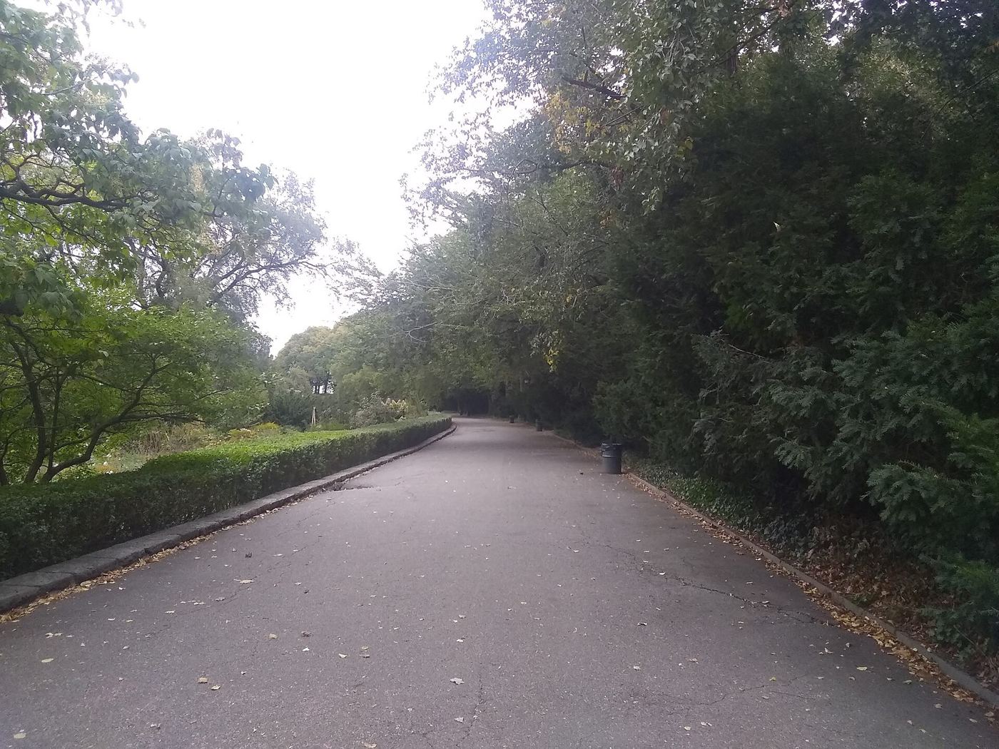 renovated pathway in city park