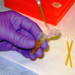 A researcher handling samples in a medical laboratory