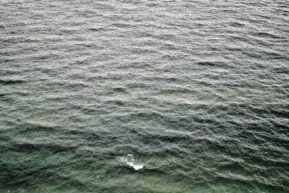 Visitors at the dramatic sea cliffs on Ireland's west coast
